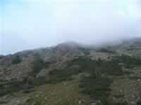 Korsika Bild 157